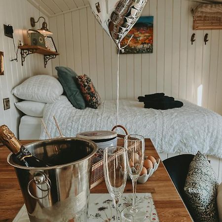 Black Hut At Slieve Croob Glamping Ballyward Luaran gambar