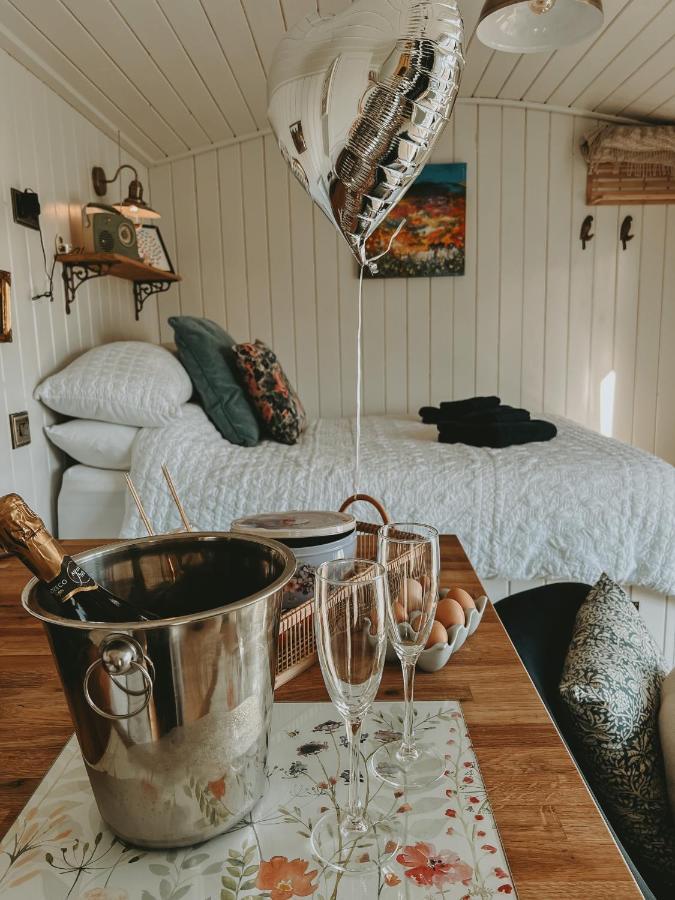 Black Hut At Slieve Croob Glamping Ballyward Luaran gambar